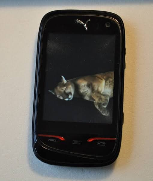 SAGEM Puma Phone M1 Price in Pakistan - ZOZO